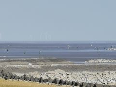 -芦潮港集贸市场