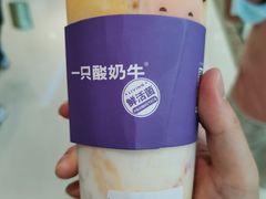 -一只酸奶牛(双流万达广场店)