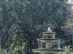 -河南省黄河迎宾馆