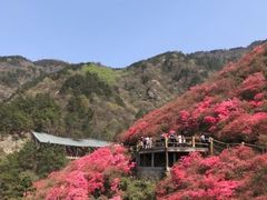 -木兰云雾山