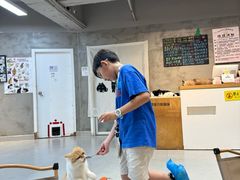 -Heymao猫咖.咖啡厅(东门店)
