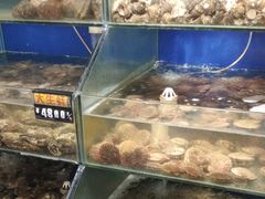 -雅逸居海鲜小厨