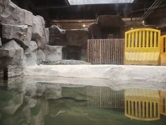 -武汉动物园