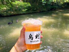 -乌村