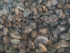 -特色海鲜美食(老街店)