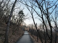 -帽儿山国家森林公园