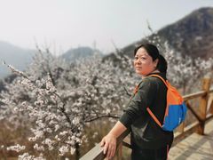 -大岭沟猕猴桃谷风景区