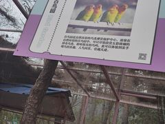 -牛鱼嘴原始生态风景区