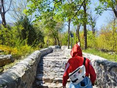 -阳台山自然风景区