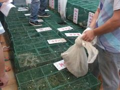 环境-荔城生鲜盛宴(番禺旗舰店)