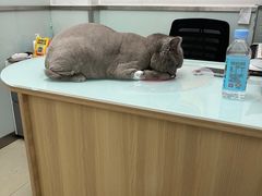 -宠福鑫康馨动物医院·骨科·眼科