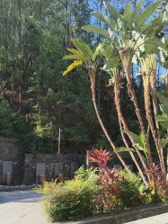 -爱丽馨御景月子中心