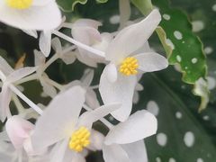 -北京植物园-展览温室