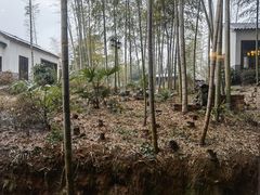 -木子山庄·安徽省老字号·中国炖锅宴