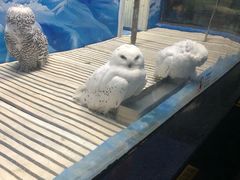 -成都浩海立方海洋公园