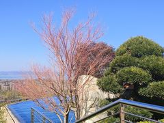 -七彩云南古滇温泉山庄