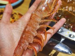 -铭记蛙小仙·活蛙畅享(CBD万达广场店)