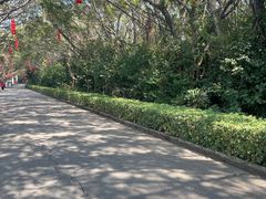 -大湾区中央湿地公园