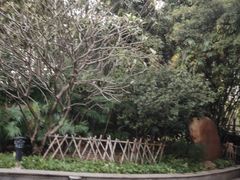 -晓港公园