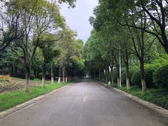 -上海鲜花港
