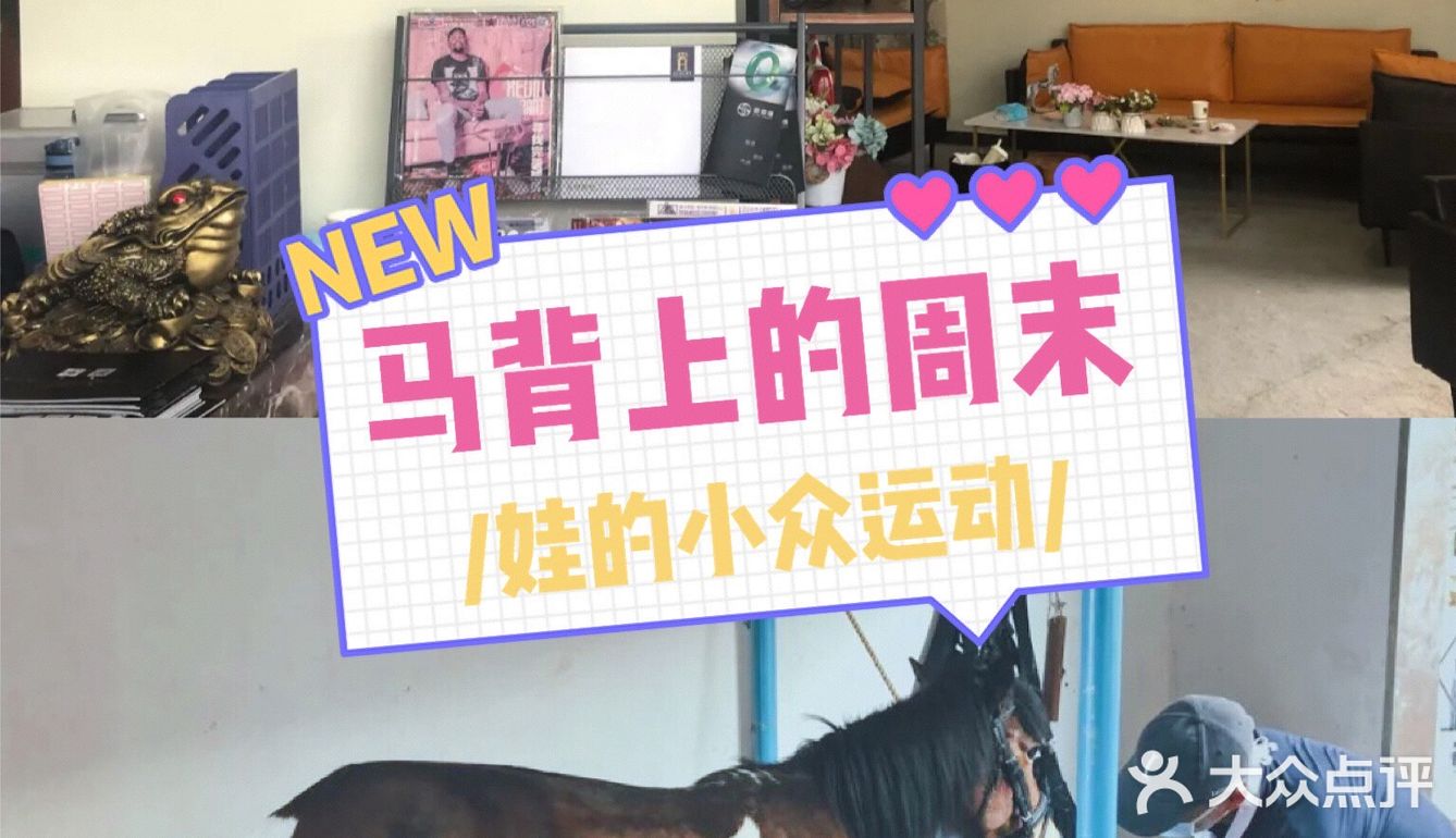 [礼花]娃在马背上的周末时光！[亲亲]