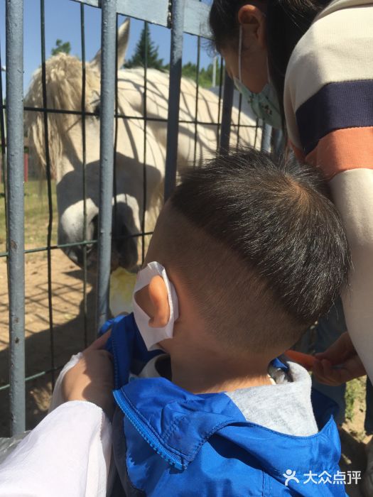 西安世博园图片