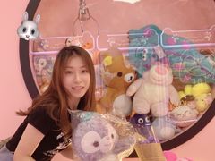 -+WAWA夹娃娃专门店·抓娃娃
