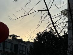 -川西坝子火锅(金沙1.0直营店)