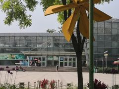 -石家庄市植物园