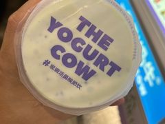 -一只酸奶牛(春熙路店)