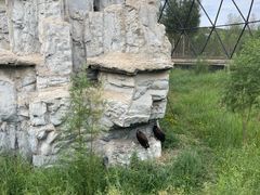 -鄂尔多斯野生动物园