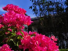 -福建鲤鱼洲酒店