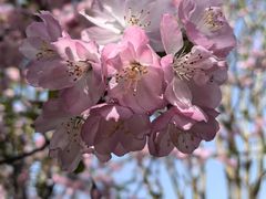 -梁鸿国家湿地公园