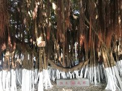 -胡里山炮台