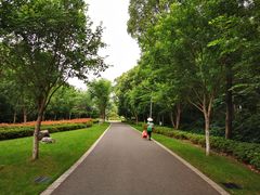 -昆山城市生态森林公园