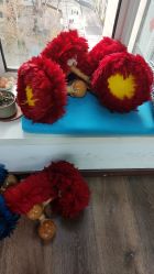 -呼拉汇舞蹈生活馆 Hawaii Hula&Tahiti Dance Studio