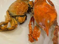 -禾斗海鲜自助(市北诺德店)
