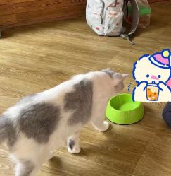 -萌宠亲子动物乐园(槐房万达店)