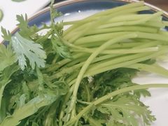 -中苑海韵