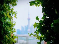 -顶层酒吧ROOF(上海艾迪逊酒店)