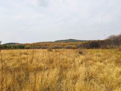 -御道口草原森林风景区