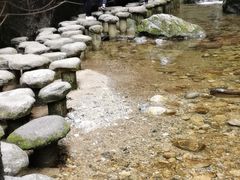 -牛背梁国家森林公园
