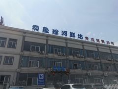 -江门古劳水乡旅游区