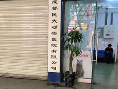 -成都民大动物医院