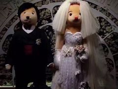 -济州岛泰迪熊博物馆