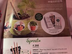 -德国汉莎航空公司