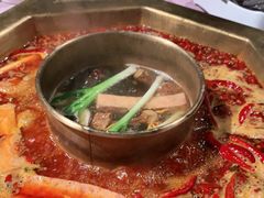 -蜀九香火锅(玉林店)
