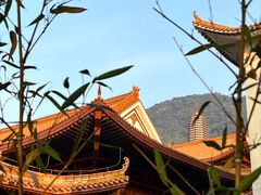 -深圳仙湖植物园