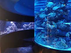 -成都浩海立方海洋公园