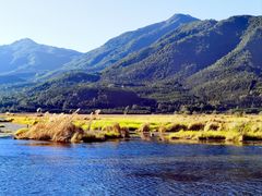 -腾冲北海湿地